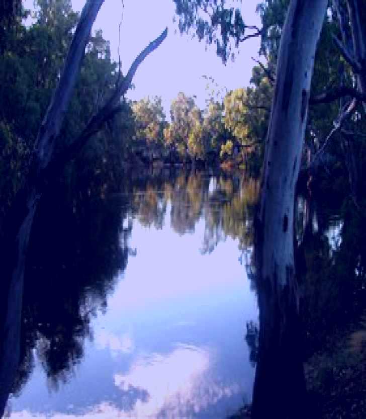 SubjectCoach | Five Rivers Fishing Trail
