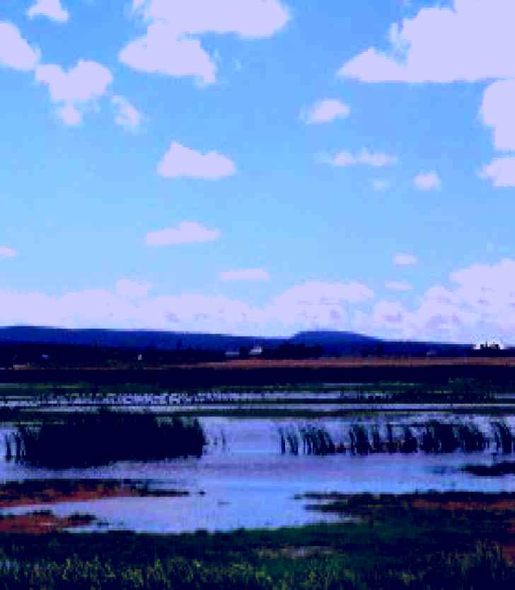 SubjectCoach | Fivebough Wetlands
