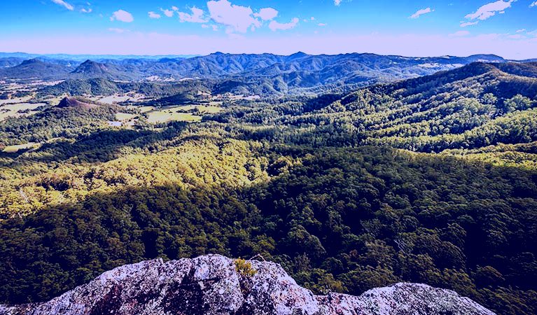 SubjectCoach | Flat Rock lookout