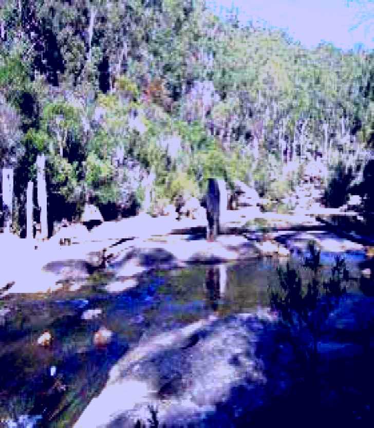 SubjectCoach | Freres Crossing Bushwalk