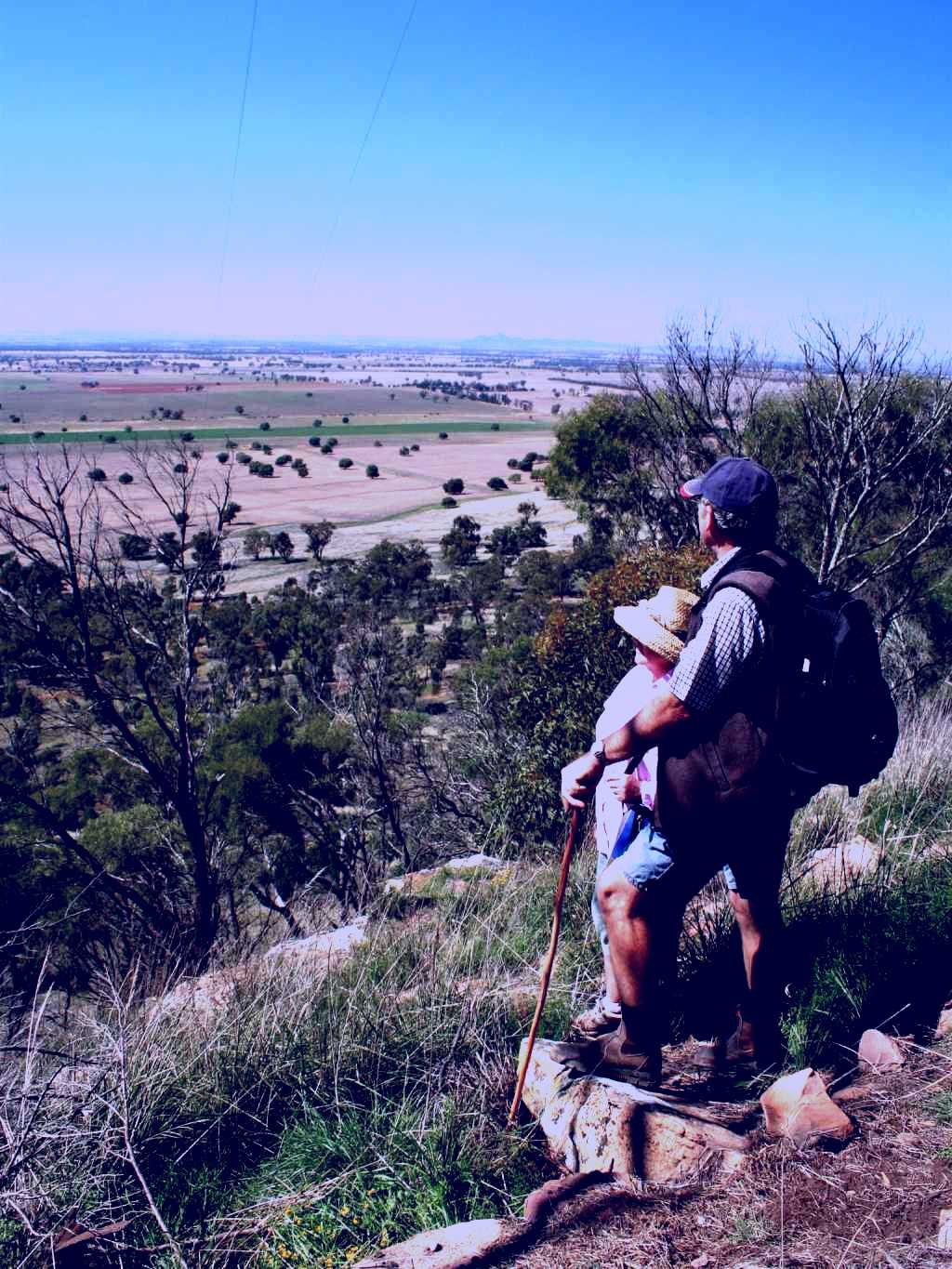 SubjectCoach | Galore Hill Nature Reserve