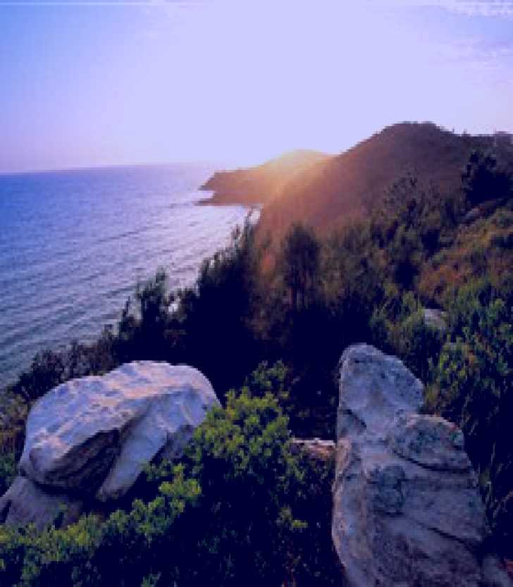 SubjectCoach | Goanna Headland