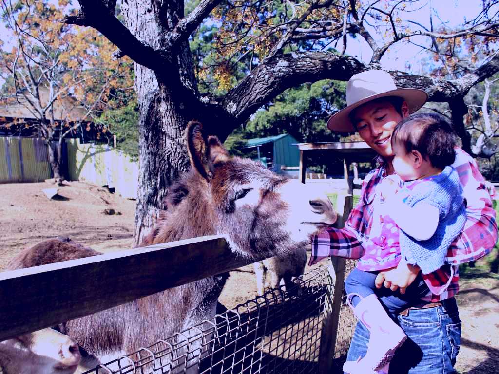 SubjectCoach | Golden Ridge Animal Farm
