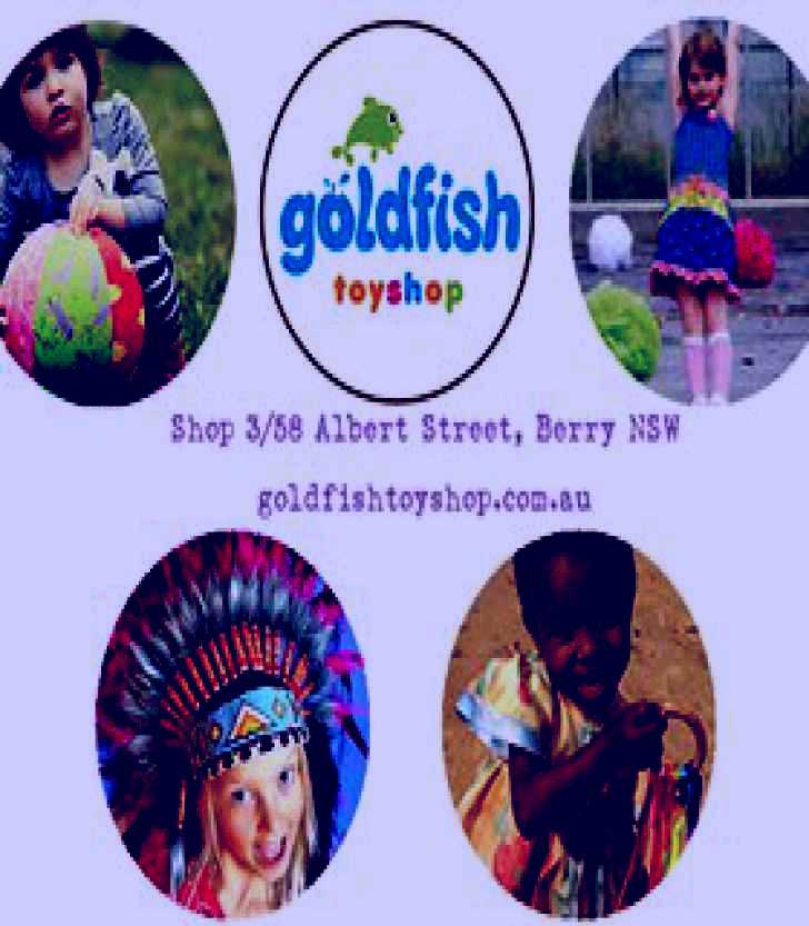 SubjectCoach | Goldfish Toy Shop