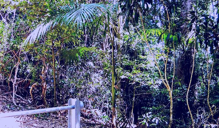 SubjectCoach | Goorgana walking track