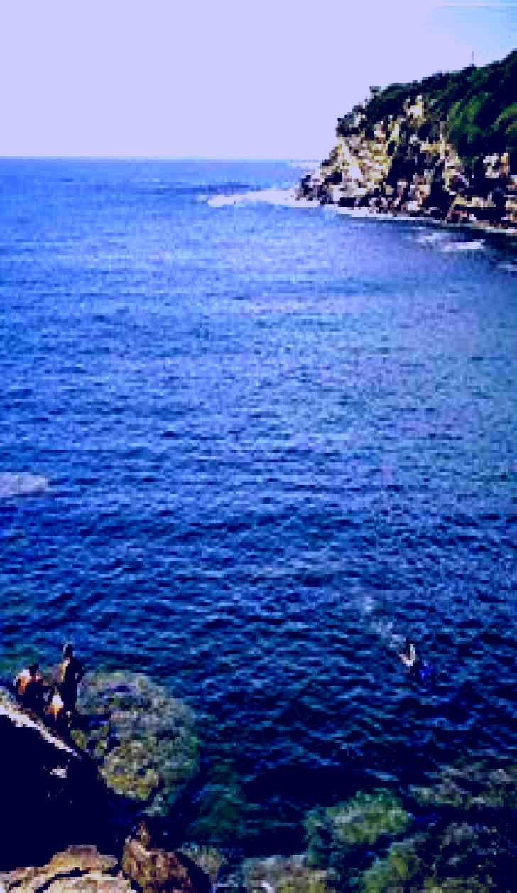 SubjectCoach | Gordons Bay