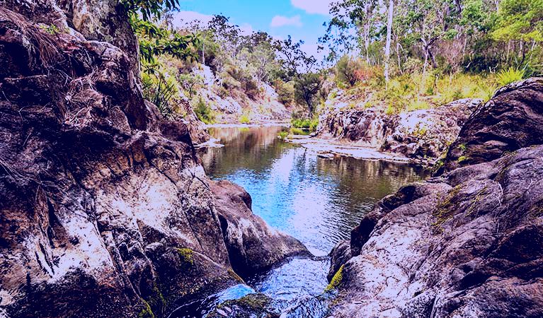 SubjectCoach | Gorge walking track