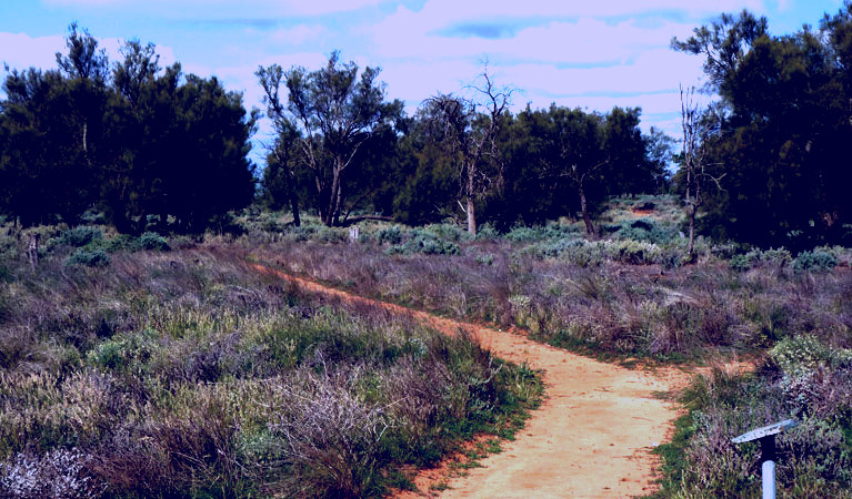 SubjectCoach | Grasslands Nature trail