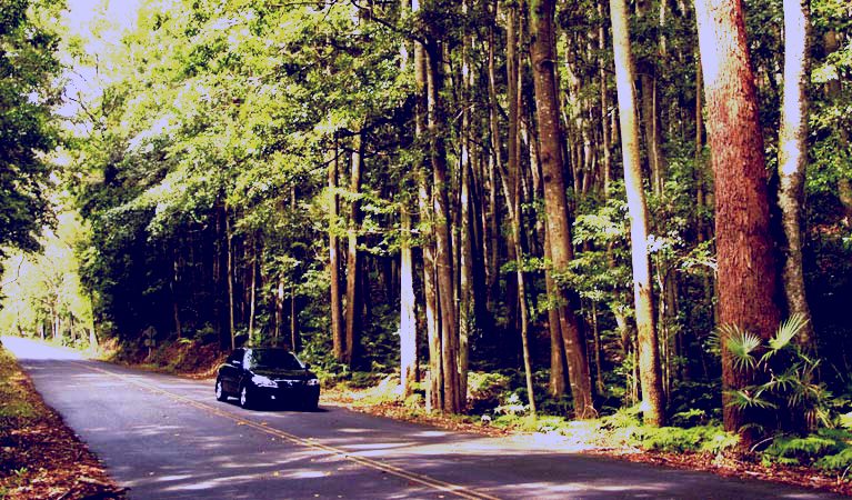 SubjectCoach | Greater Blue Mountains drive