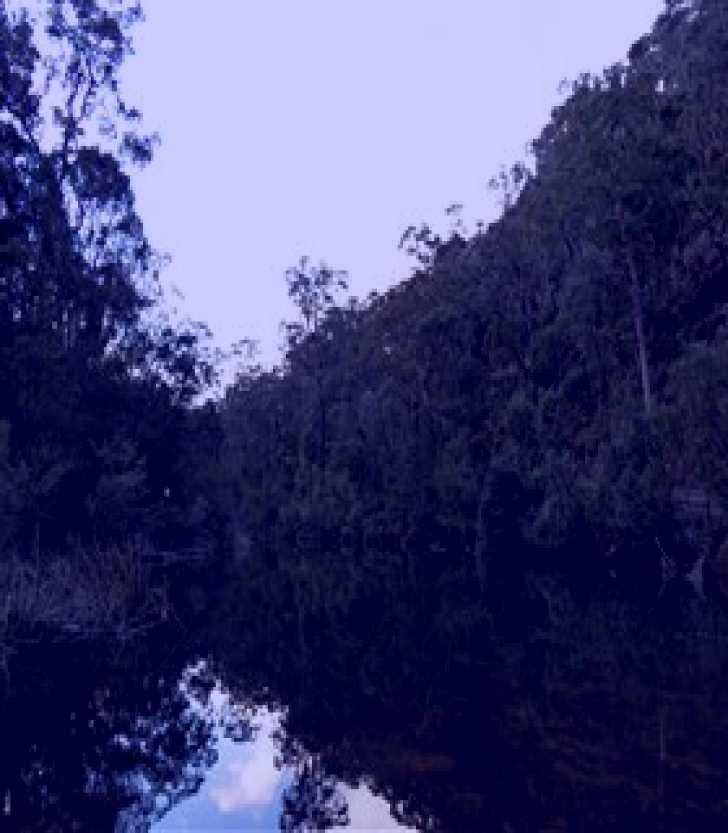 SubjectCoach | Greater Blue Mountains Drive - Glenbrook Discovery Trail