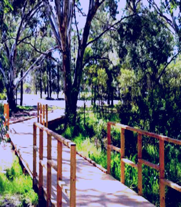 SubjectCoach | Green Corridor Walking Track