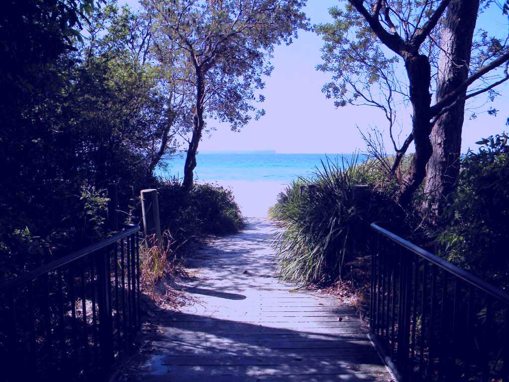 SubjectCoach | Greenfield Beach
