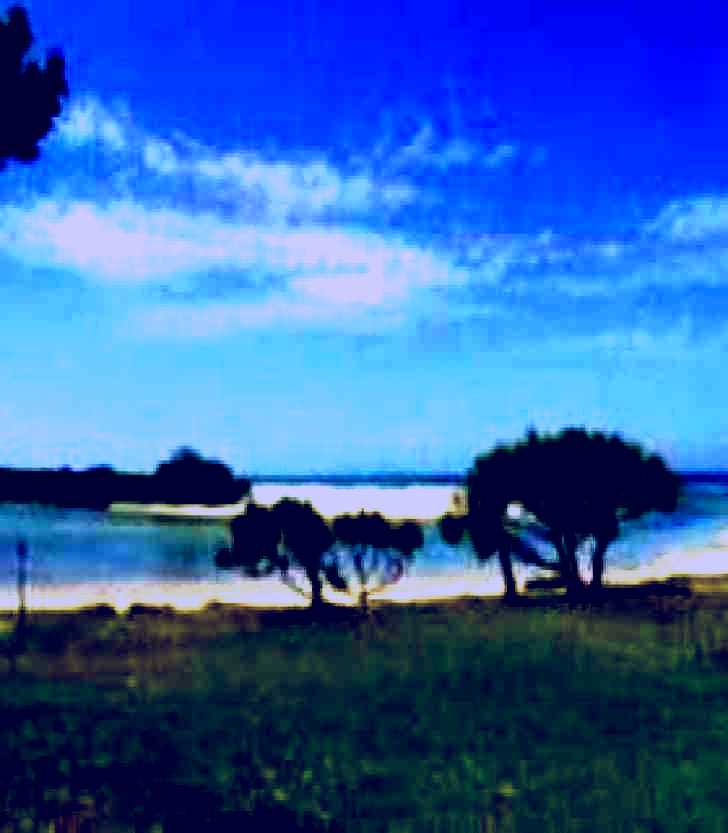 SubjectCoach | Hastings Point Beach