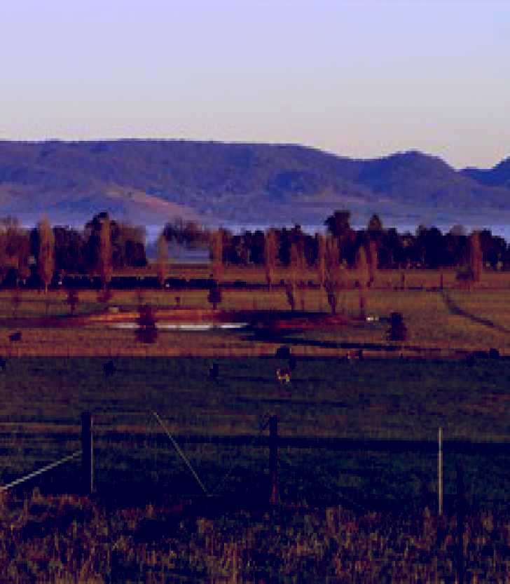 SubjectCoach | Holbrook Landcare Self-Drive Eco Tour