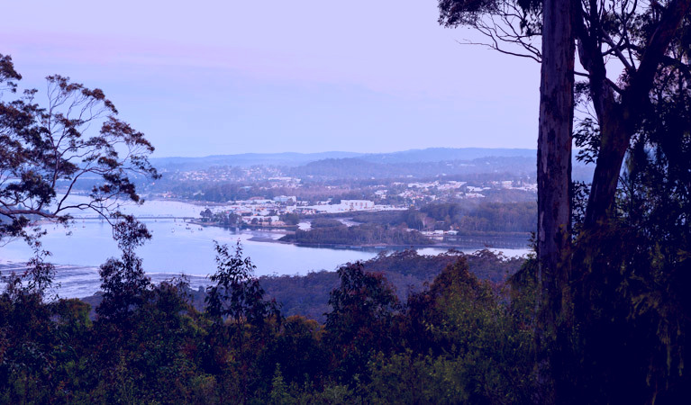 SubjectCoach | Holmes lookout