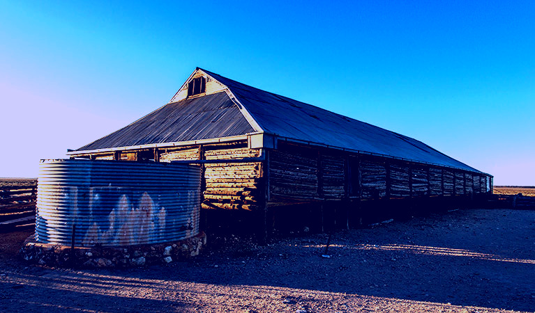 SubjectCoach | Mungo Woolshed
