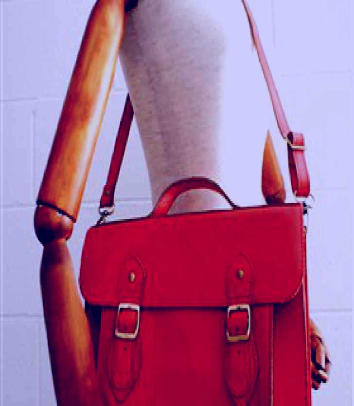 SubjectCoach | Mushu Image 1