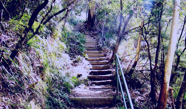 SubjectCoach | Nature track