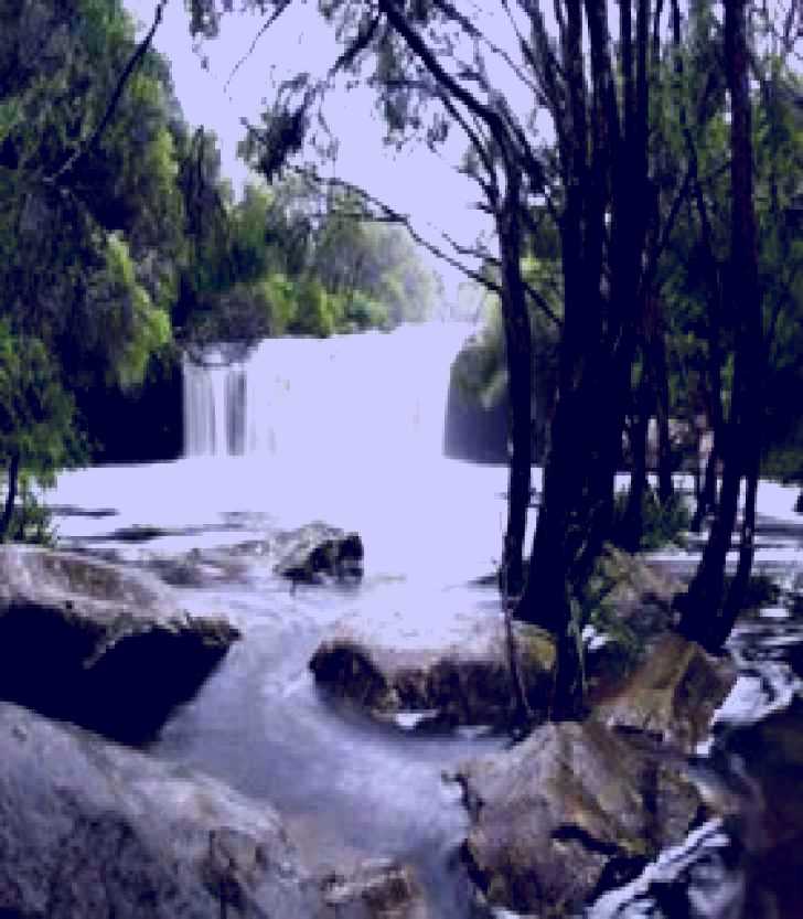 SubjectCoach | Nellies Glen Carrington Falls