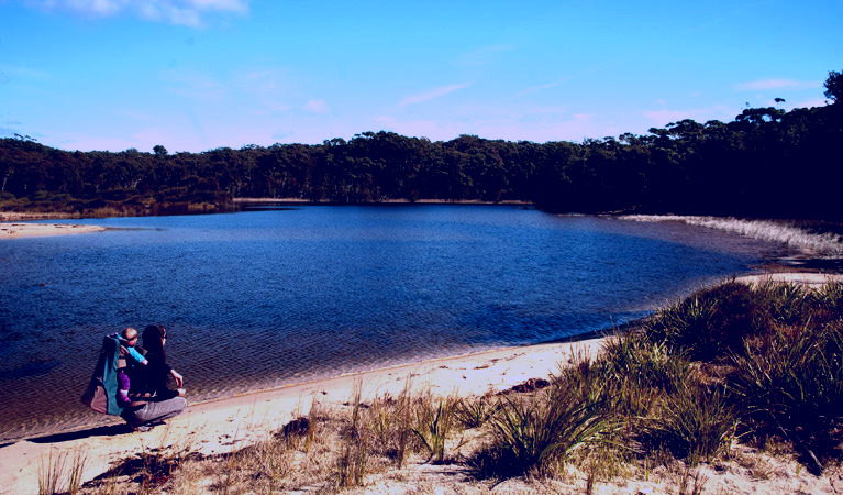 SubjectCoach | Nerindillah Lagoon walking track