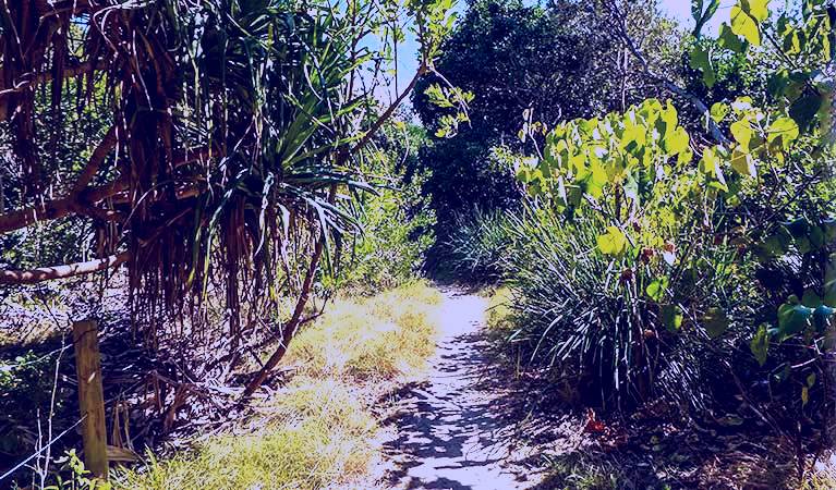 SubjectCoach | North Head walking track