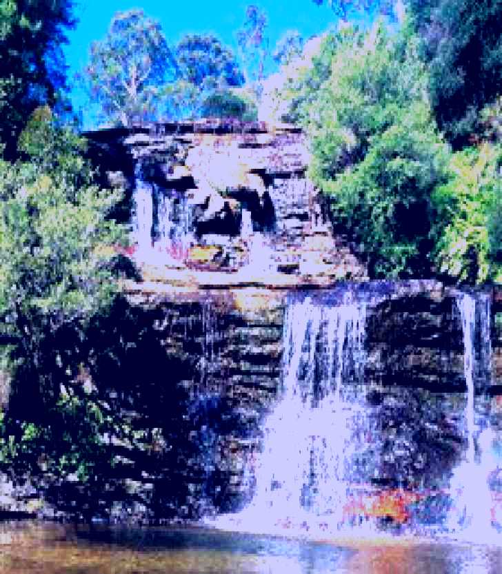 SubjectCoach | North Lawson Park
