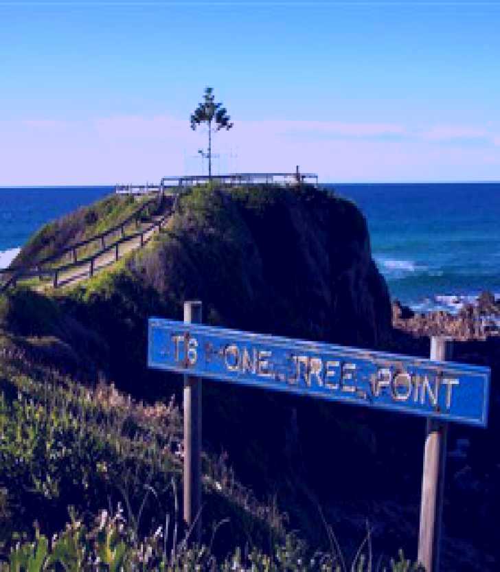 SubjectCoach | One Tree Point Lookout and Picnic Area