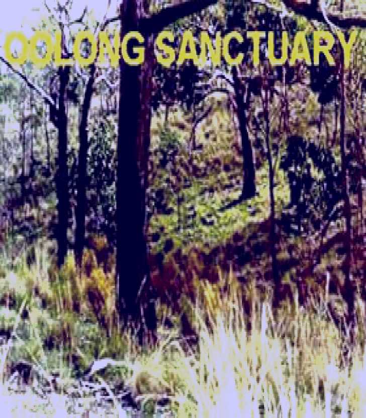 SubjectCoach | Oolong Sanctuary