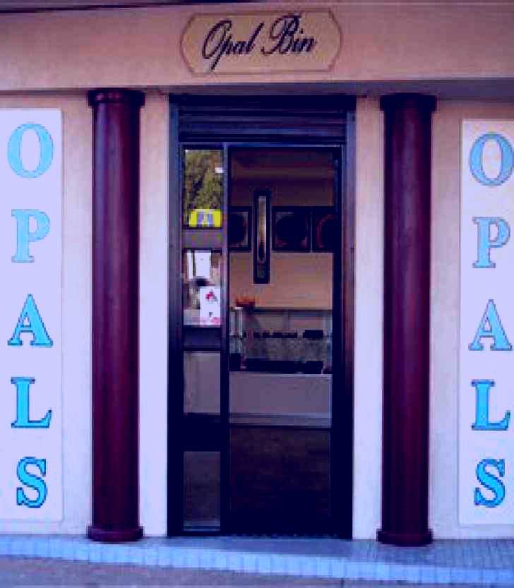 SubjectCoach | Opal Bin