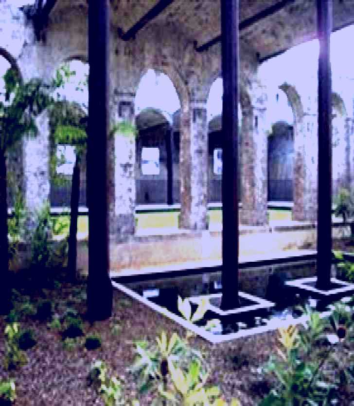 SubjectCoach | Paddington Reservoir Gardens