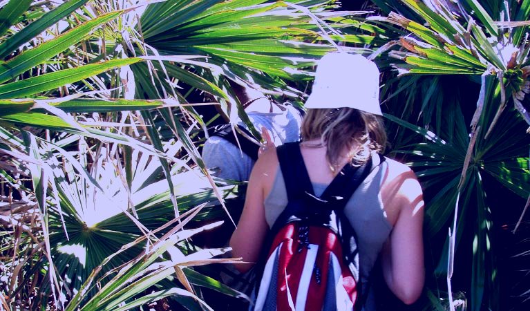 SubjectCoach | Palm Jungle loop track
