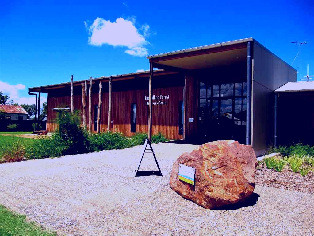 SubjectCoach | Pilliga Forest