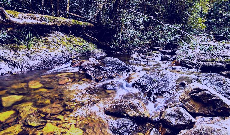 SubjectCoach | Potaroo Falls picnic area