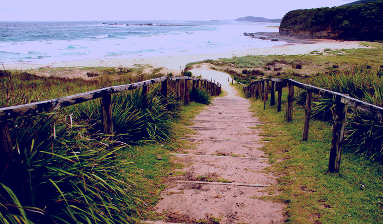 SubjectCoach | Pretty Beach to Durras Mountain walking track