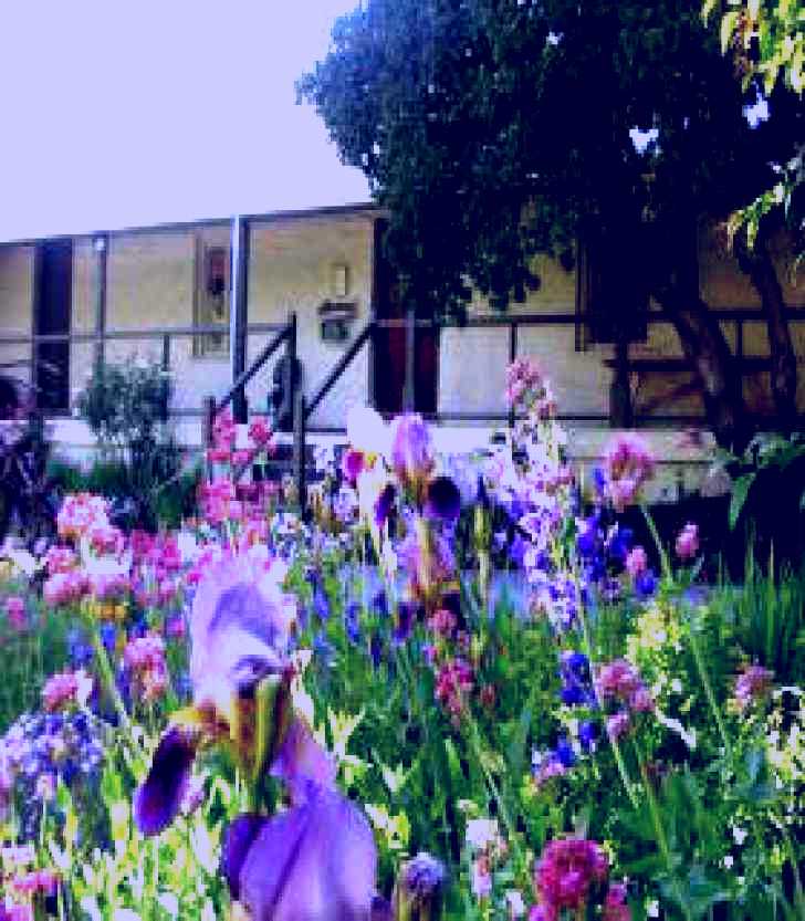 SubjectCoach | Raglan Gallery And Cultural Centre