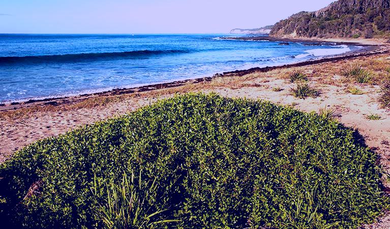 SubjectCoach | Richmond Beach