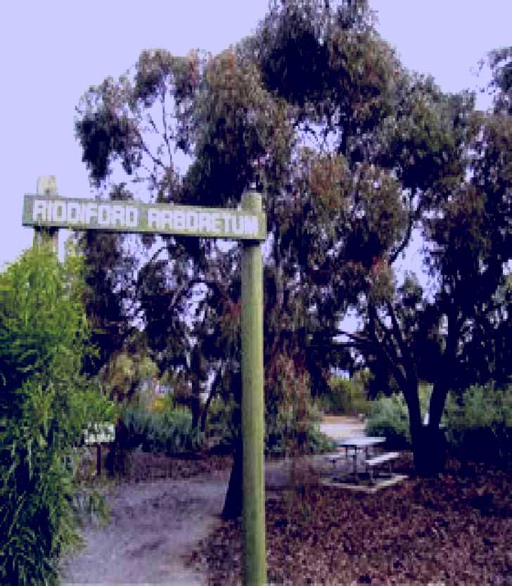 SubjectCoach | Riddiford Arboretum