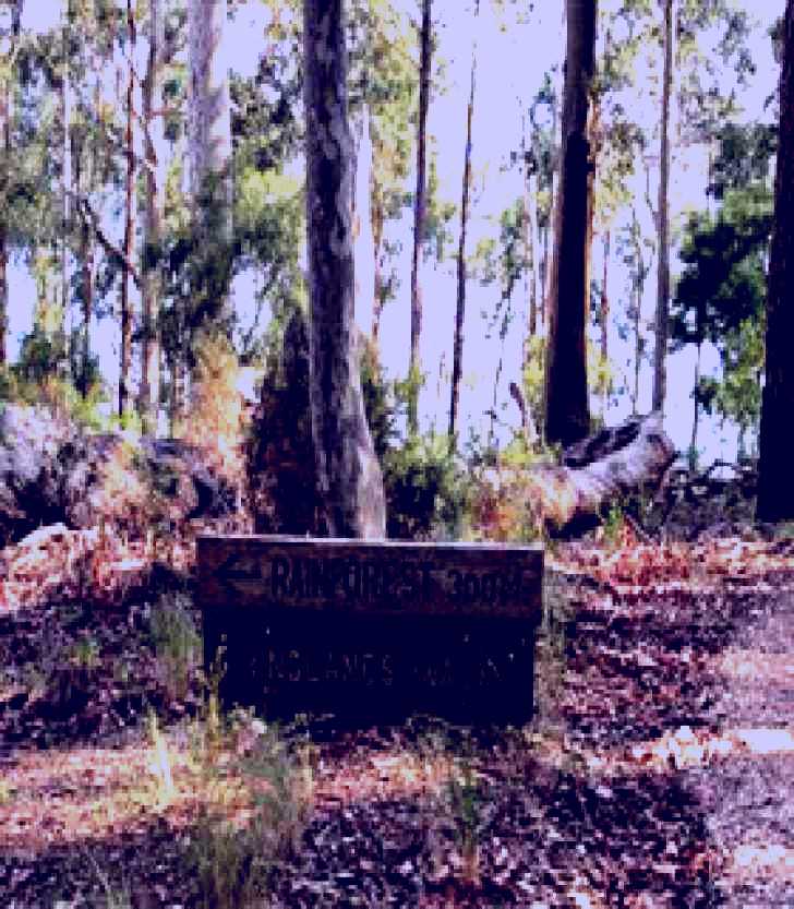 SubjectCoach | Ringlands Rotary Walk Narooma