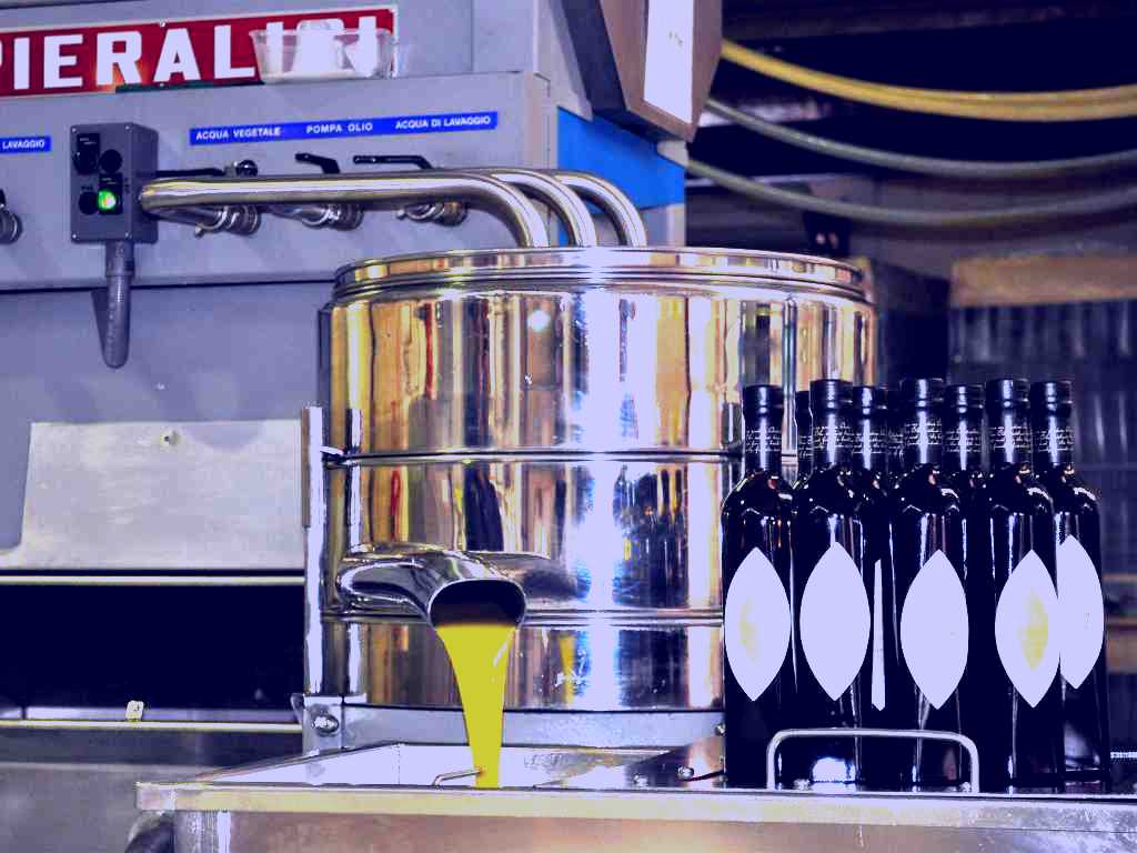 SubjectCoach | Rylstone Olive Press