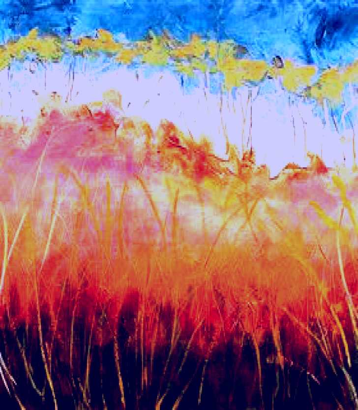 SubjectCoach | Scott Jackson Artworks