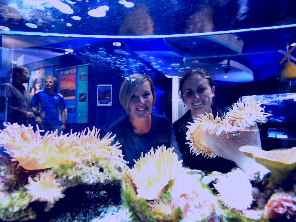 SubjectCoach | Solitary Islands Aquarium