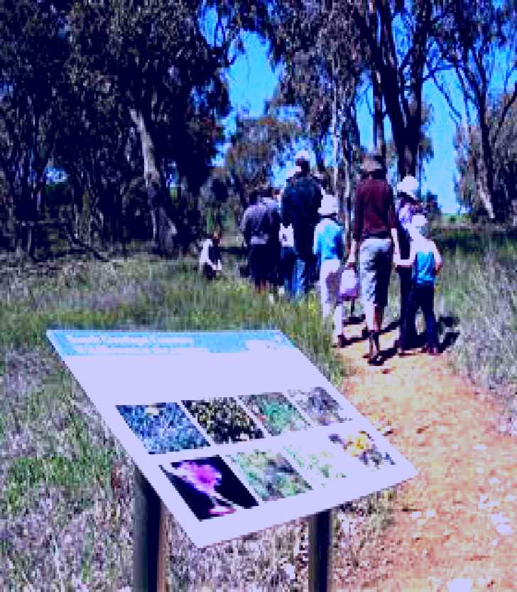 SubjectCoach | South Gundagai Woodlands Walk