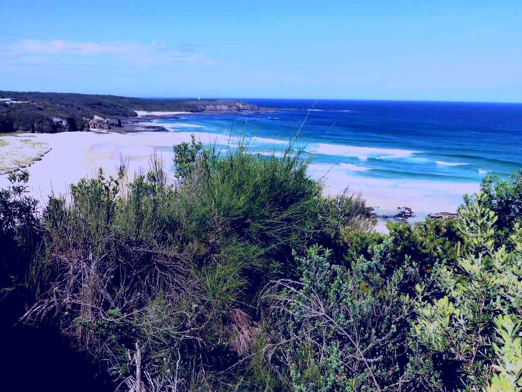 SubjectCoach | South Pacific Heathland Reserve