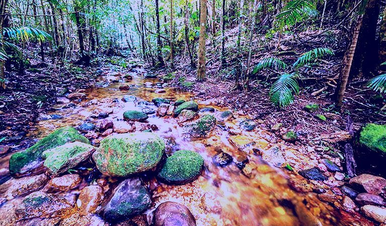 SubjectCoach | Starrs Creek picnic area