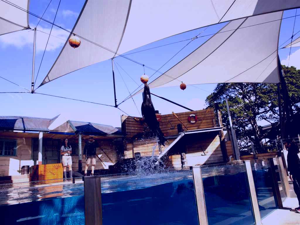 SubjectCoach | Taronga Zoo
