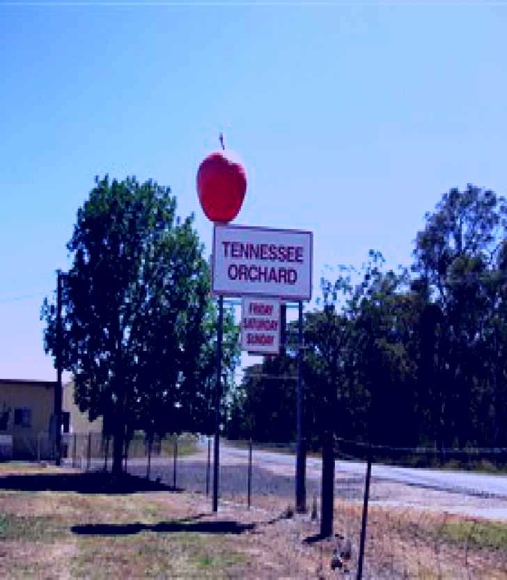 SubjectCoach | Tennessee Orchard