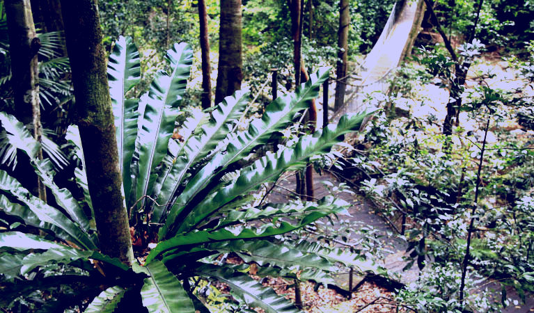 SubjectCoach | The Falls walk