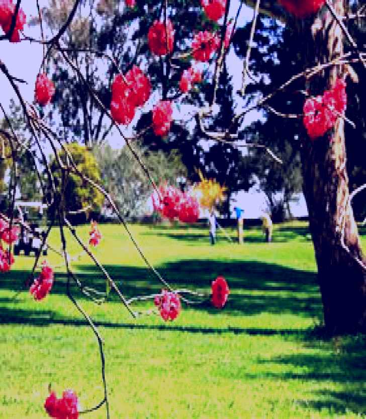 SubjectCoach | The Yass Golf Club