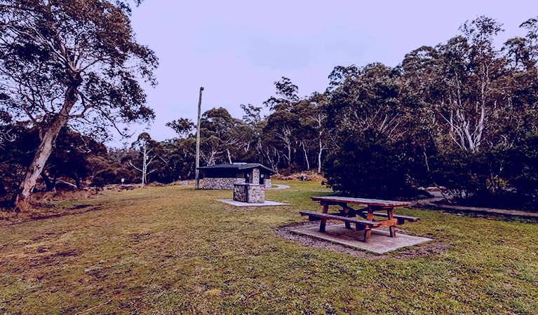 SubjectCoach | Thredbo River picnic area