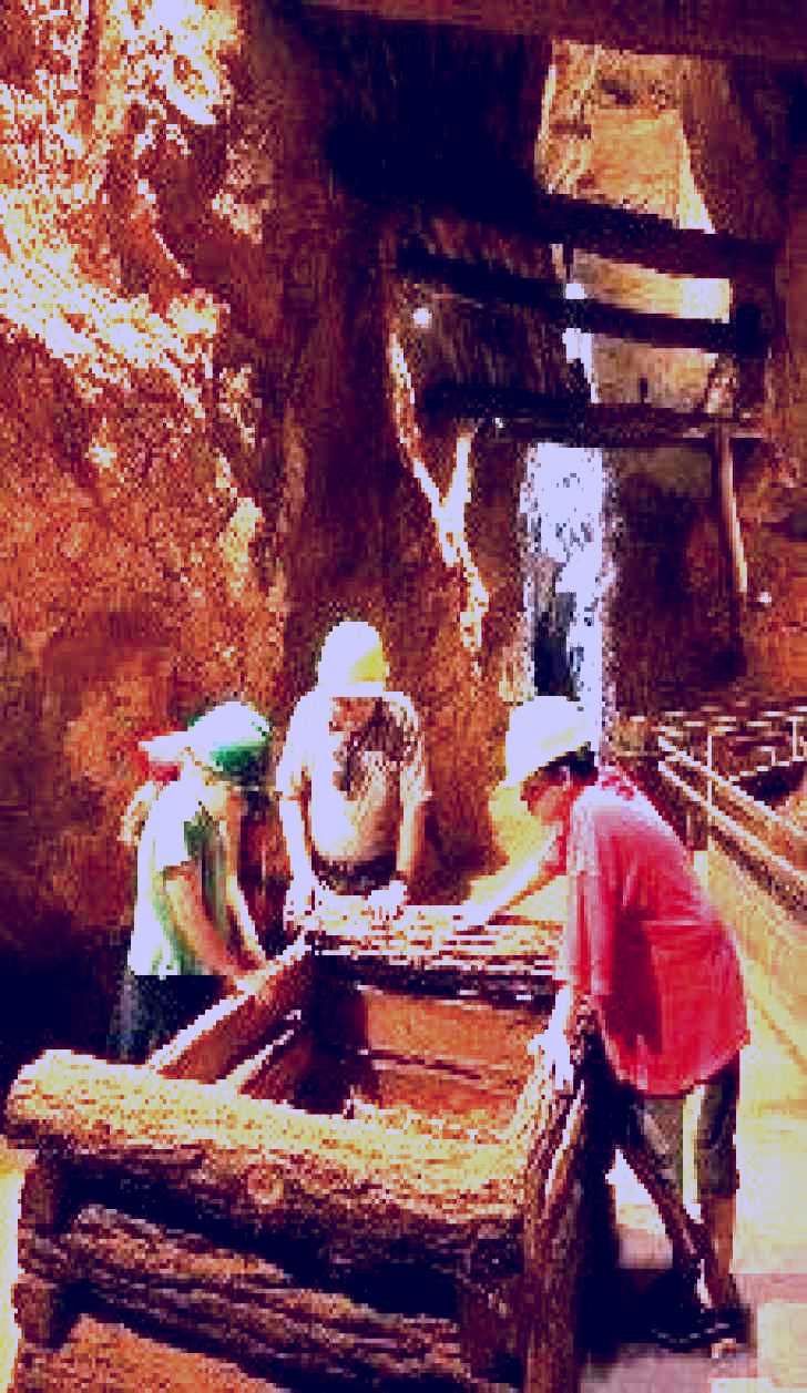 SubjectCoach | Wellington Caves and Phosphate Mine